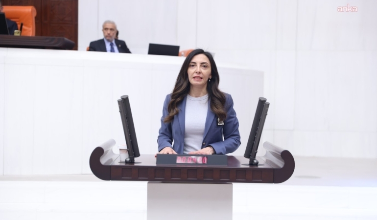 CHP’li Kayışoğlu: IMEI sorunu en çok yurt dışından emekli olan vatandaşlarımızı etkiliyor