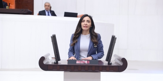 CHP’li Kayışoğlu: IMEI sorunu en çok yurt dışından emekli olan vatandaşlarımızı etkiliyor