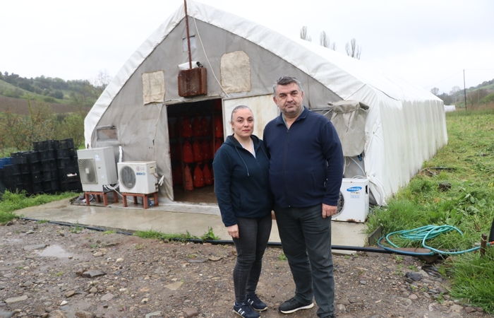 Emekliliğinde doğaya döndü,  mantar üreticisi oldu