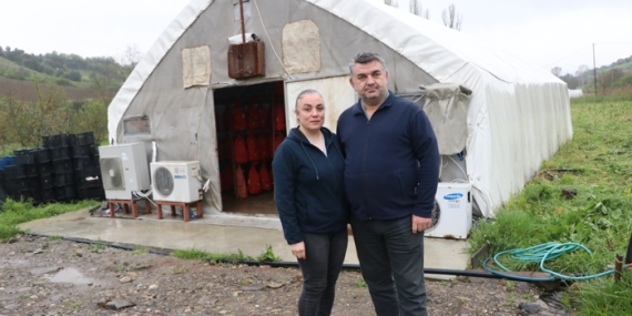 Emekliliğinde doğaya döndü,  mantar üreticisi oldu