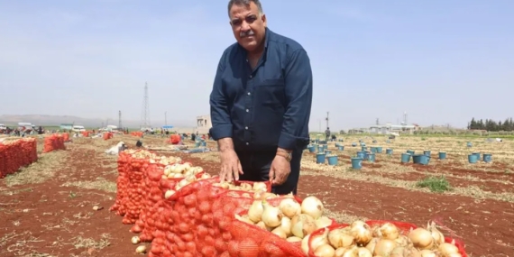 Kuru soğana gümrük vergisi ayarı